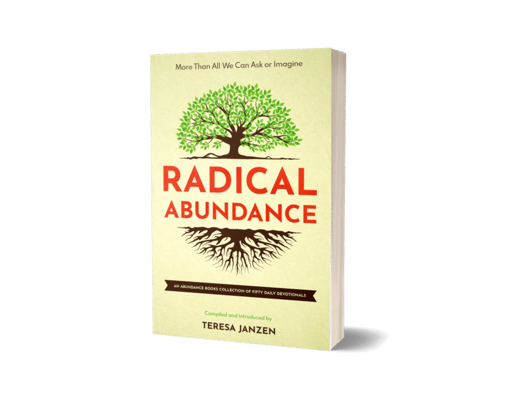 Radical Abundance book cover